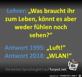 funpot0000340941_x400_y000.webp