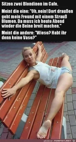 funpot0000345367_x300_y000.webp