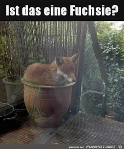 funpot0000348180_x300_y000.webp