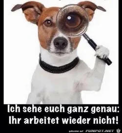 funpot0000346882_x400_y000.webp