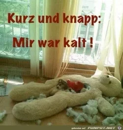 funpot0000349058_x300_y000.webp