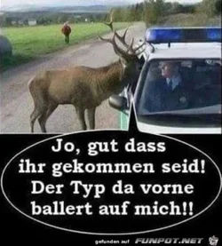 funpot0000355946_x300_y000.webp