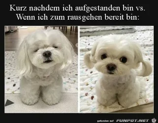 funpot0000357004_x400_y000.webp