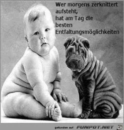 funpot0000356455_x400_y000.webp
