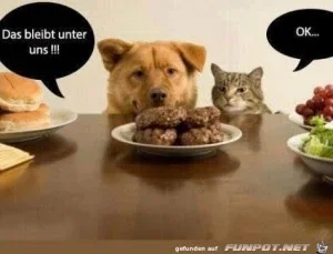 funpot0000355094_x300_y000.webp