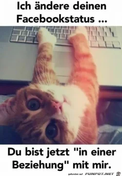 funpot0000360673_x400_y000.webp