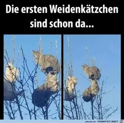 funpot0000361648_x300_y000.webp