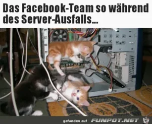funpot0000370913_x400_y000.webp funpot0000370913_x400_y000.webp