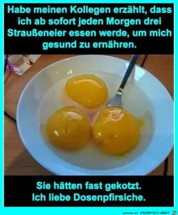 funpot0000369419_x400_y000.webp funpot0000369419_x400_y000.webp