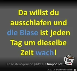 funpot0000375895_x400_y000.webp funpot0000375895_x400_y000.webp