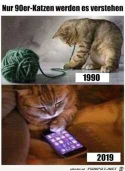 funpot0000381025_x300_y000.webp funpot0000381025_x300_y000.webp