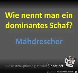 funpot0000385345_x400_y000.webp funpot0000385345_x400_y000.webp