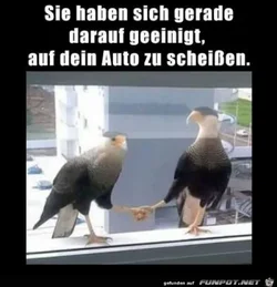 funpot0000387018_x400_y000.webp funpot0000387018_x400_y000.webp