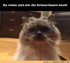 funpot0000390057_x300_y000.webp funpot0000390057_x300_y000.webp