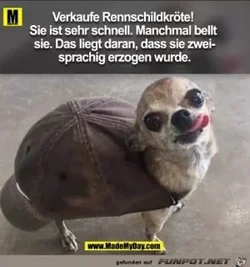 funpot0000378368_x300_y000.webp funpot0000378368_x300_y000.webp
