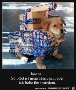 funpot0000379717_x300_y000.webp funpot0000379717_x300_y000.webp