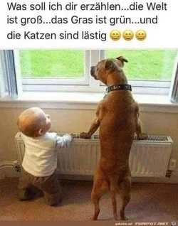 funpot0000397988_x300_y000.webp funpot0000397988_x300_y000.webp