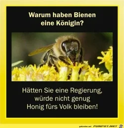 funpot0000399499_x400_y000.webp funpot0000399499_x400_y000.webp