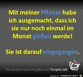 funpot0000059236_x400_y000.webp funpot0000059236_x400_y000.webp