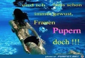 funpot0000403309_x300_y000.webp