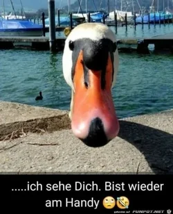 funpot0000408142_x400_y000.webp funpot0000408142_x400_y000.webp