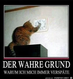 funpot0000407224_x300_y000.webp funpot0000407224_x300_y000.webp