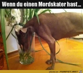 funpot0000416448_x300_y000.webp funpot0000416448_x300_y000.webp