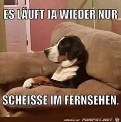 funpot0000424672_x300_y000.webp