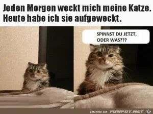 funpot0000423683_x300_y000.webp funpot0000423683_x300_y000.webp