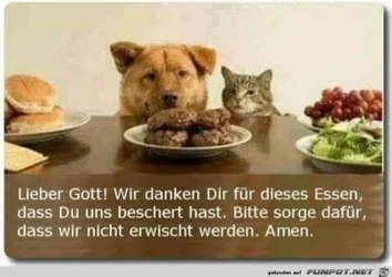 funpot0000441129_x400_y000.webp funpot0000441129_x400_y000.webp