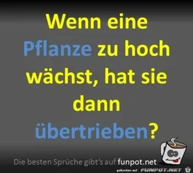 funpot0000443675_x400_y000.webp funpot0000443675_x400_y000.webp