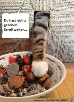 funpot0000449047_x300_y000.webp funpot0000449047_x300_y000.webp