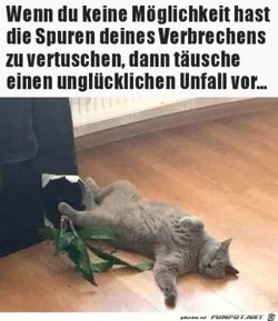 funpot0000457958_x300_y000.webp funpot0000457958_x300_y000.webp