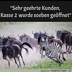 funpot0000460238_x300_y000.webp funpot0000460238_x300_y000.webp