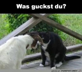 funpot0000461102_x300_y000.webp funpot0000461102_x300_y000.webp