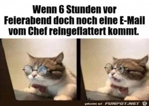 funpot0000468387_x300_y000.webp