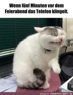 funpot0000477702_x300_y000.webp