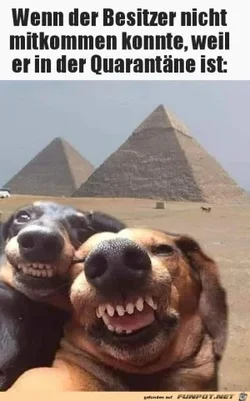 funpot0000484504_x300_y000.webp