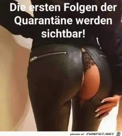 funpot0000486093_x300_y000.webp
