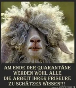 funpot0000485900_x300_y000.webp