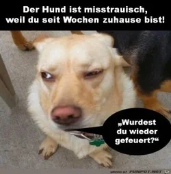 funpot0000491831_x300_y000.webp