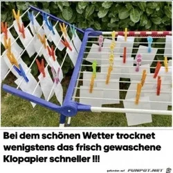 funpot0000491576_x300_y000.webp