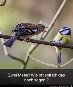 funpot0000496113_x300_y000.webp