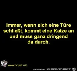 funpot0000511965_x300_y000.webp