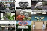 funpot0000514222_x150_y100.webp