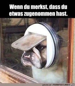funpot0000530590_x300_y000.webp