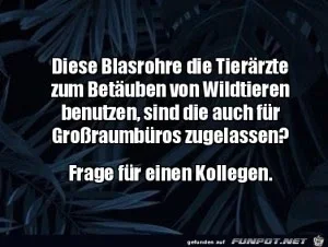 funpot0000532270_x300_y000.webp