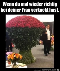 funpot0000526061_x300_y000.webp