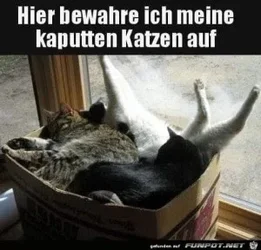 funpot0000522232_x300_y000.webp