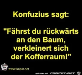 funpot0000459531_x300_y000.webp